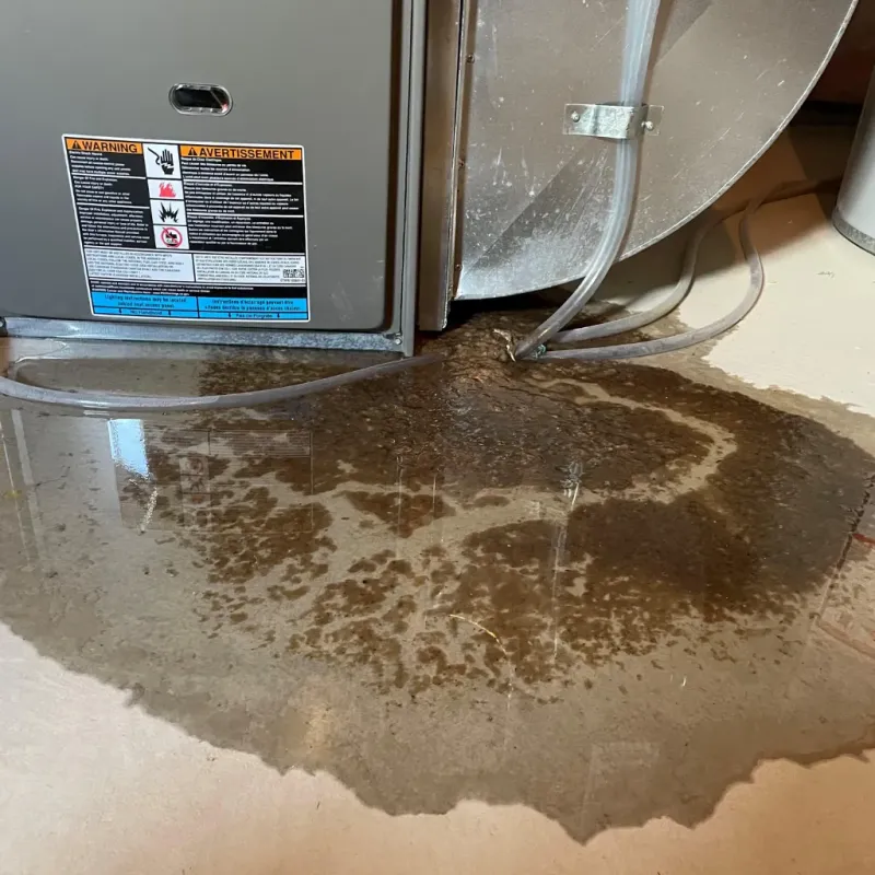 Appliance Leak Cleanup in Franklin, KY