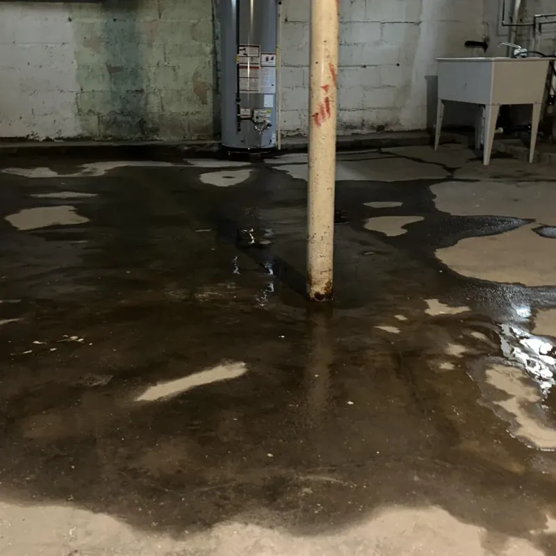 Emergency Water Extraction And Removal in Franklin, KY